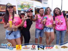 Vaca Atolada 