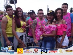 Vaca Atolada 